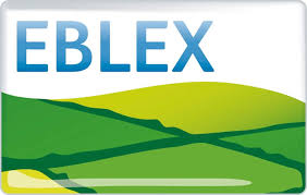 EBLEX